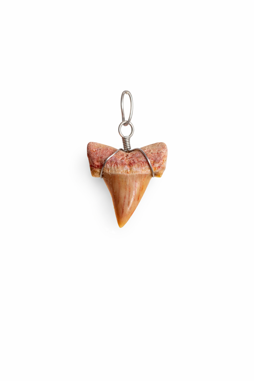 Natuurlijke Haaientand Hanger - Tandvormige Kettinghanger met Metalen Wikkeling - 21 x 19 mm - Haaientand Hanger